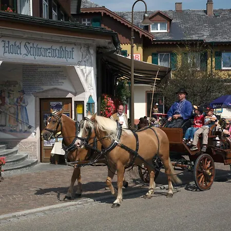 Schwarzwaldhof Hotel 3*