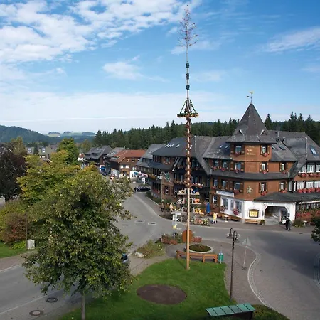 Schwarzwaldhof هينترتزارتن
