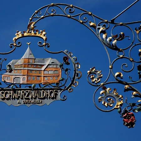 Schwarzwaldhof Hotel 3*