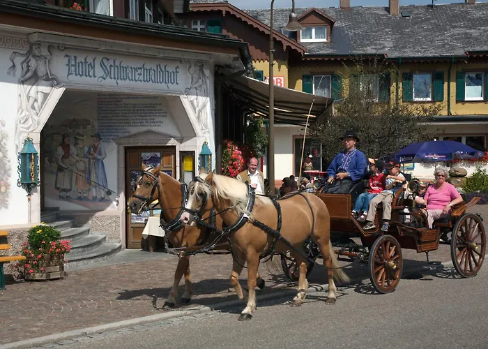 Schwarzwaldhof Hotel 3*